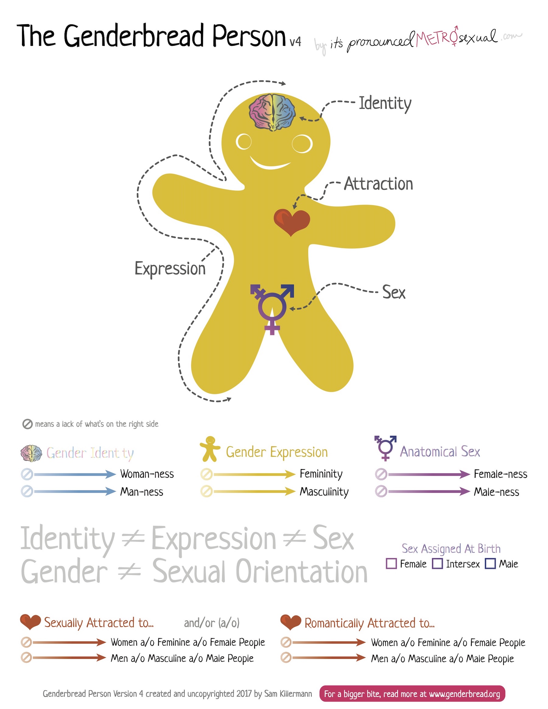 The Genderbread Person